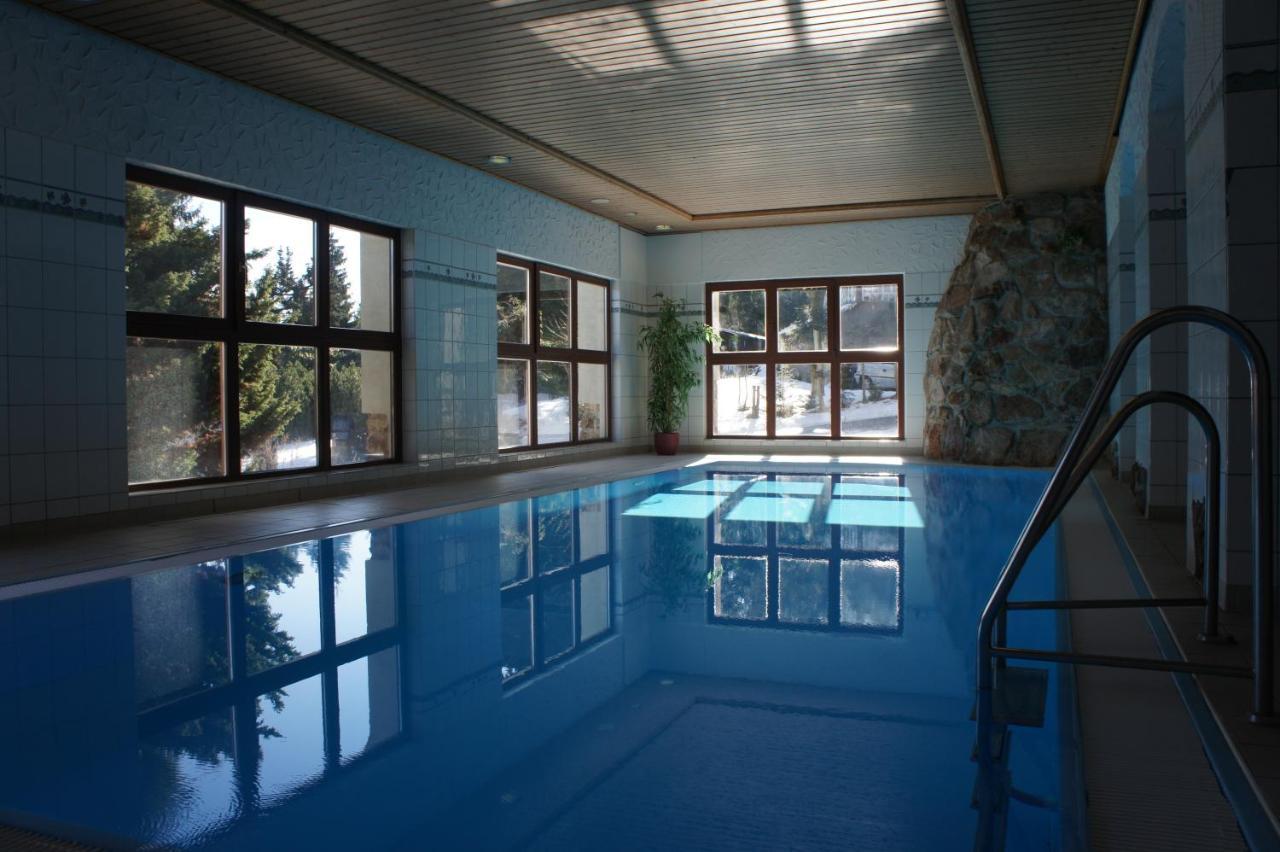 Отель Friedrichshoehe - Sauna, Pool & Альтенберг