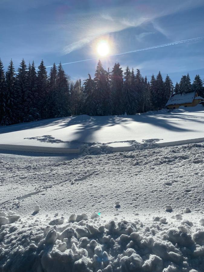 Hotel Friedrichshoehe - Sauna, Pool & Altenberg (Osterzgebirge)