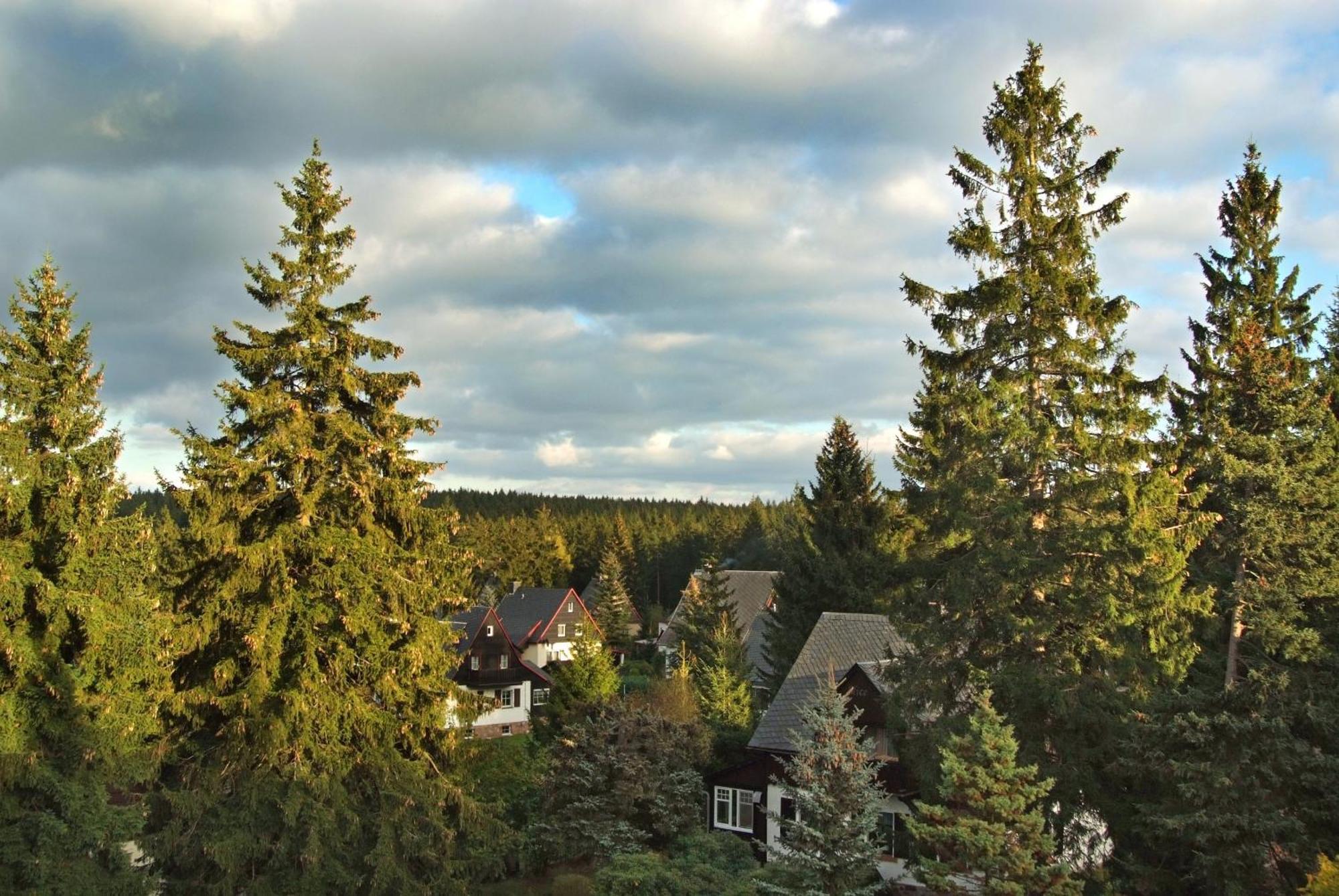 Hotel Friedrichshoehe - Sauna, Pool &